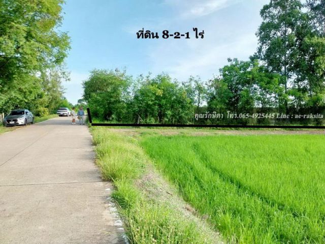 ขายที่ดิน 8-2-1 ไร่ ต.ดอนฉิมพลี อ.บางน้ำเปรี้ยว จ.ฉะเชิงเทรา ใกล้หนองจอก ที่ดินเป็นน้ำ
