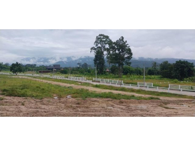 ติดภูตะลึงคาเฟ่ติดถนนใหญ่