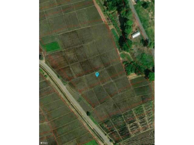 L450-ขายที่นา 2-0-39 ไร่ ต.ขี้เหล็ก อ.แม่ริม จ.เชียงใหม่