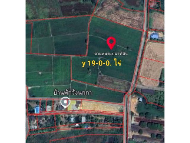 ขายที่ดิน 19 ไร่ ถนนวังนกกา ต.แปลงยาว อ.บางคล้า จ.ฉะเชิงเทรา