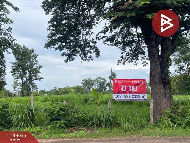 ขายที่ดิน เนื้อที่ 8 ไร่ นายม อำนาจเจริญ