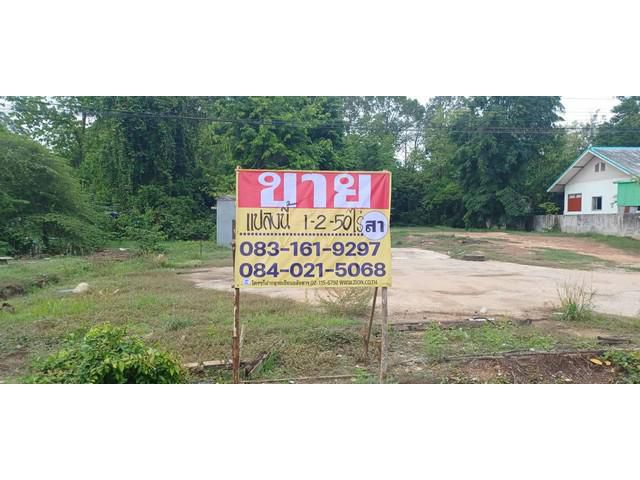 ขายที่ดินราคาถูก 1-2-50 ไร่  ติดถนนสายเลี่ยงเมือง   เมืองพิษณุโลก