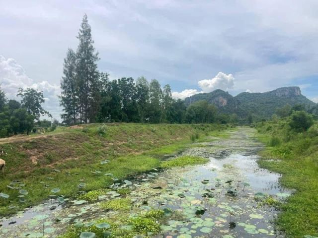 ที่ดินติดคลองชลประทานน้ำวิวภูเขาสวยมี 1 ไร่ 3 งาน 15 ตรว.