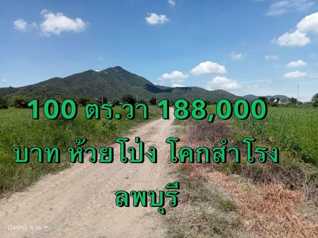 ที่ดิน ห้วยโป่ง โคกสำโรง ลพบุรี ขนาด 100 ตร.วา