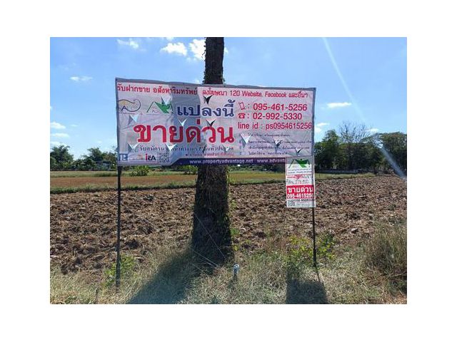 ที่ดิน 3 งาน 78.0 ตรว. ต.ขามทะเลสอ อ.ขามทะเลสอ จ.นครราชสีมา