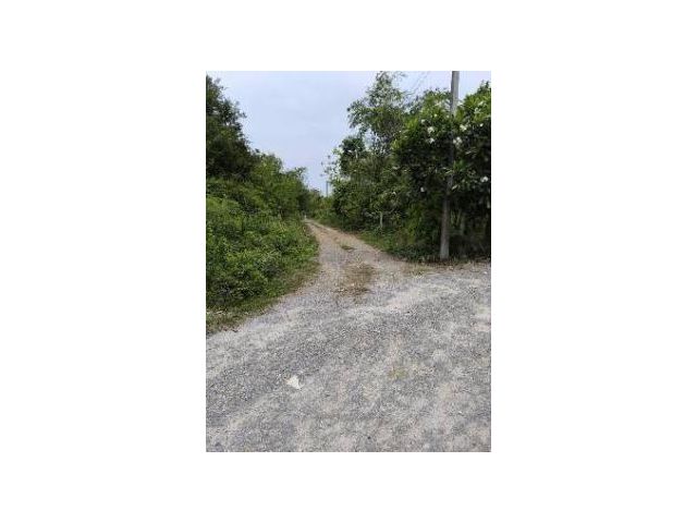 ขายที่ดิน วิวเนินเขา ถ.สุขุมวิท อ.สัตหีบ จ.ชลบุรี เนื้อที่70ตรว