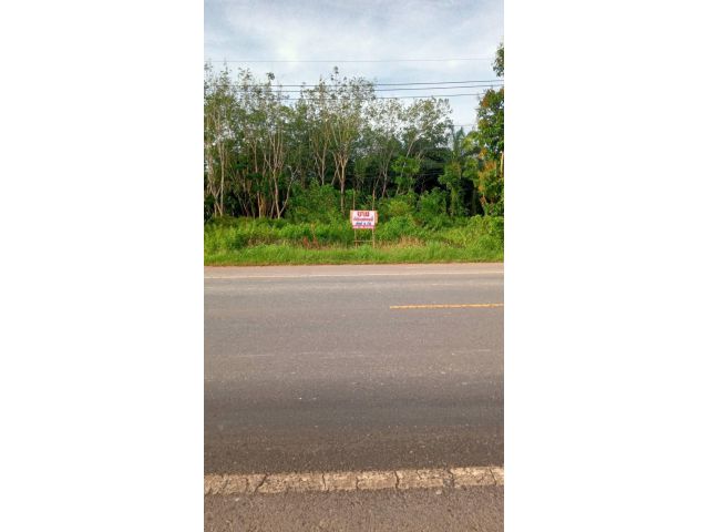ขายที่ดิน2ไร่ครึ่ง