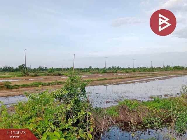 ขายที่ดิน เนื้อที่ 1 งาน 50 ตร.วา พรานกระต่าย กำแพงเพชร