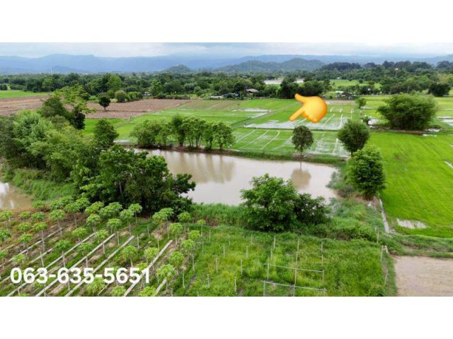 ขายที่สวยวิวเขา 12 ไร่ 3 งาน 62 ตรว. ต.สาริกา อ.เมืองนครนายก