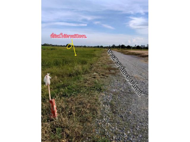 ที่ดิน1ไร่3งาน50ตรว.โคกโคเฒ่า อำเภอเมืองสุพรรณบุรี