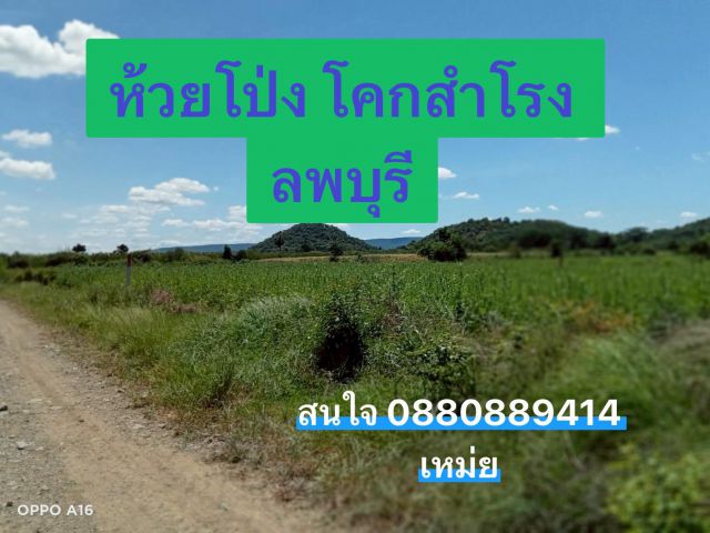 ที่ดิน ห้วยโป่ง โคกสำโรง ลพบุรี ขนาด 100 ตรวา 188,000 บาท