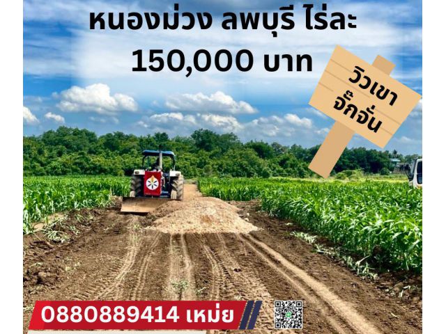 ที่ดิน หนองม่วง จ. ลพบุรี ไร่ละ 150,000