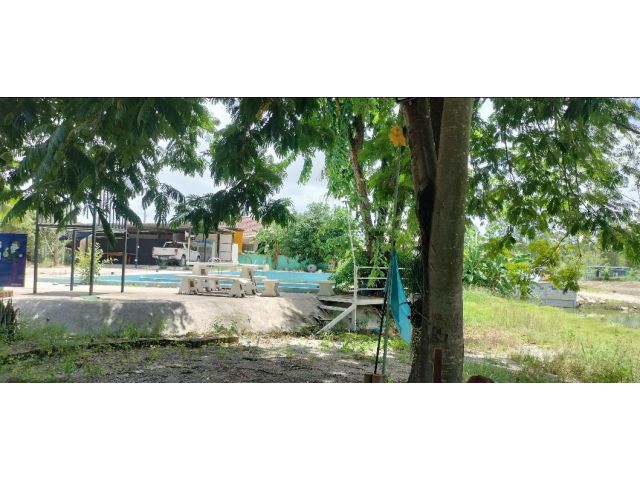 ขายที่ดิน มีโฉนด สวย ถูก 3 งาน ฟรีโอน  เงินสดได้ - เงินผ่อนได้  ราคาต่อรองได้ ซอย 4 นิคมพัฒนา  ติดถนนดำ ติดวิวริมน้ำ