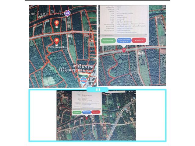 ขายที่ดิน ต.คลองน้อย อ.เมือง จ.สุราฎร์ธานี ใกล้เทศบาลสุราษฎร์ธานี
