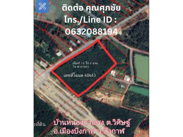 ขายที่สวนยาง อำเภอเมืองบึงกาฬ จังหวัดบึงกาฬ