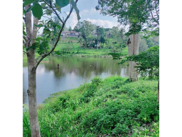 ด่วนที่สุด ขายที่ดินหน้าติดทางหลวง หลังติดน้ำที่สวยที่สุดใน อ เขาค้อ สำหรับสร้างรีสอร์ท จำนวน 26 ไร่