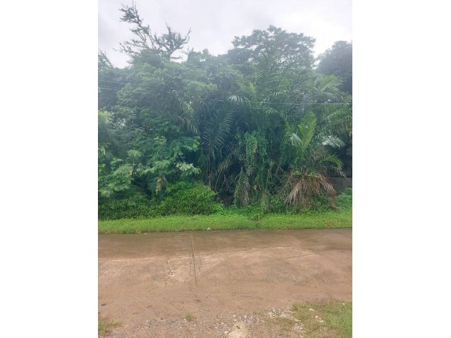 ขายที่ดิน 200 ตร.ว. หมู่บ้านเอื้อสุข พัฒนาการ 58 ซอย 6 ใกล้ถนนศรีนครินทร์