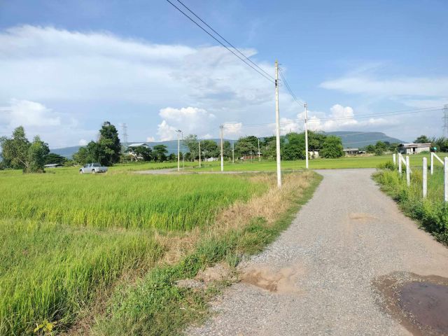 ที่ดินอำเภอวังทอง  ตำบลดินทอง