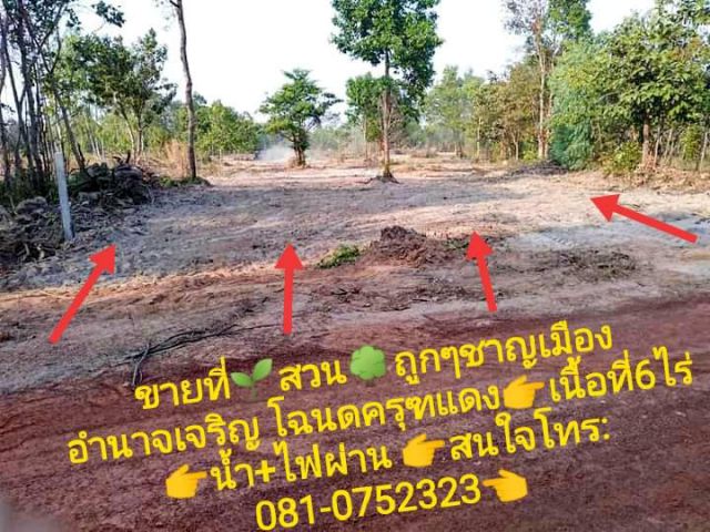 สวนชานเมืองอำนาจเจริญ มีน้ำ มีไฟฟ้า มีเพื่อนบ้าน ไกล้ห้าง 3 กม.