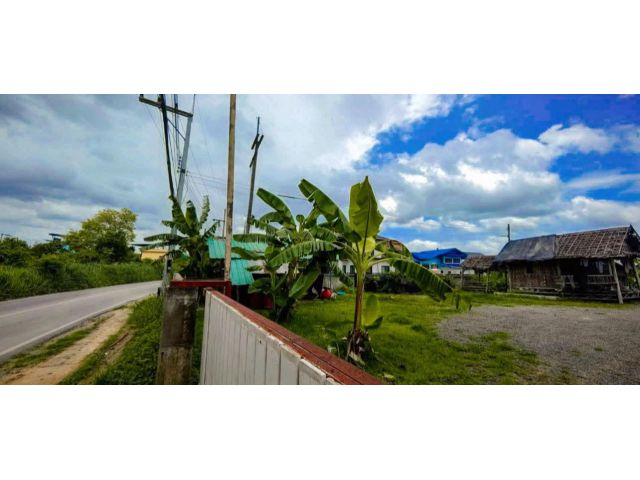 ขายที่ดินตำบลสันผักหวานหางดงทางเข้ากาดสันผักหวานพร้อมโอน