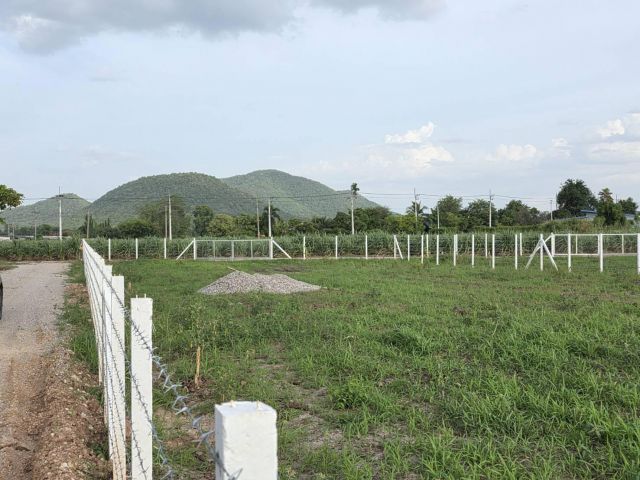 ที่ดินเนื้อที่ 300 ตรว. วิวภูเขาสวย อยู่ในแหล่งชุมชนเป็นที่เนิน ดินดี บรรยากาศดี เงียบสงบ️