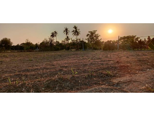 ขายที่ดิน 13-1-10.6 ไร่ หนองงูเหลือม นครปฐม ใกล้มอเตอร์เวย์