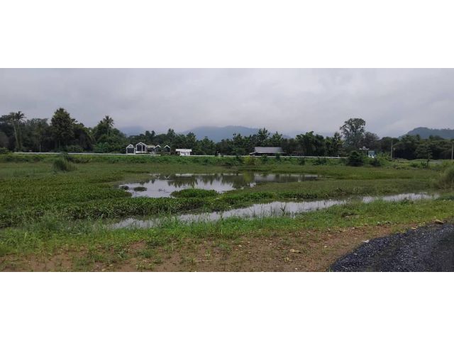 ที่เปล่าติดถนนใหญ่