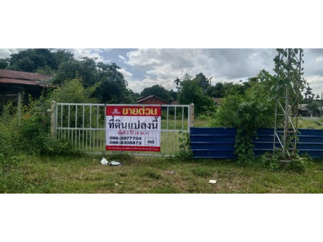 ขาย ที่ดิน 1 ไร่ 10 ตรว. ตำบลหนองเอี่ยน อำเภอคำชะอี จังหวัดมุกดาหาร