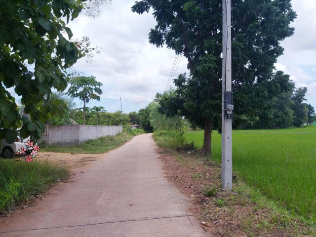 ขายที่ดิน 106 ตร.ว บ้านหนองกุง ต.บ้านทุ่ม อ.เมืองขอนแก่น มีเพื่อนบ้านเดินทางสะดวกสบาย