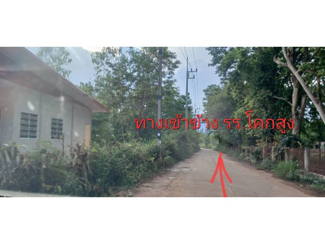 ขายที่ดิน 300 ตร.ว บ้านโคกสูง ต.บ้านหว้า เข้าตรงซอยข้าง รร.โคกสูง