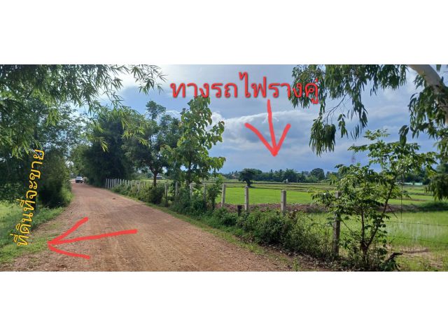 ขายที่ดิน 12 ไร่ 1งาน ใกล้สถานีรถไฟรางคู่ วังชัย โนนพยอม น้ำพอง จ.ขอนแก่น