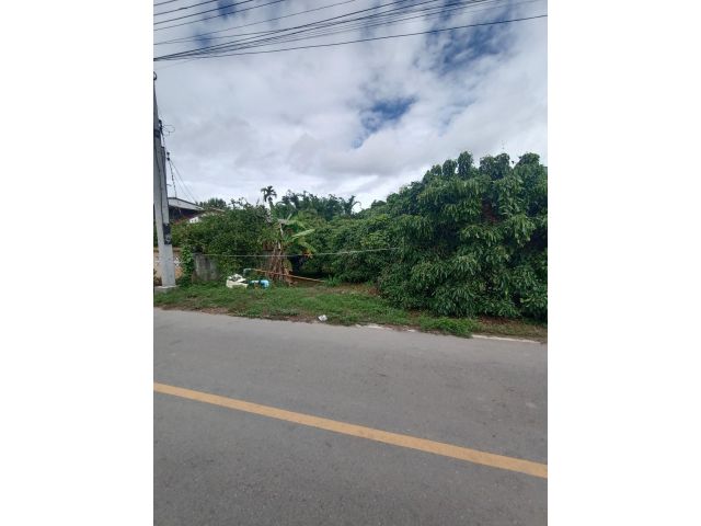 ขายที่ติดถนนบ้านน้ำบ่อหลวงสันป่าตองห่างแยกเพียง 1.3กม
