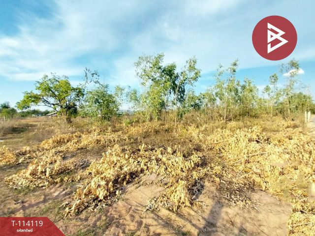 ขายที่ดิน เนื้อที่ 2 ไร่ โพธิ์ชัย หนองบัวลำภู