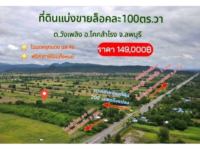 》》แบ่งขายที่ดินล็อคละ100 ตรว.  ราคา149,000บาท (ฟรีโอนทั้งหมด) ที่ดินติดถนนคอนกรีตทุกแปลงที่ดินใกล้ถนนทางหลวงสุระนารา
