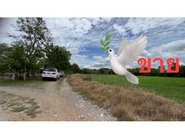 ขายที่ดิน 4ไร่ครึ่งใกล้แยกสันมะค่า ต.บัวลอย อ.หนองแค จ.สระบุรี