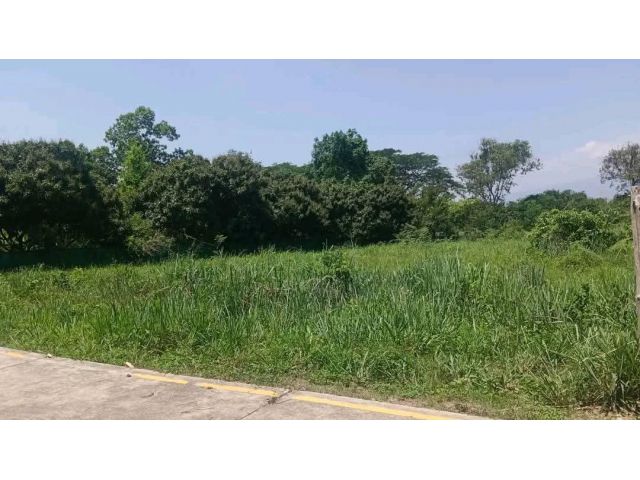 ขายที่ดินตำบลป่าไผ่สันทรายบ้านหลิ่งมื่นพร้อมโอน