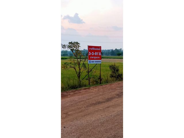 ที่ดิน เมืองร้อยเอ็ด 3 ไร่ 3 งาน 81 ตรว. ใกล้เมือง ทำเลดี บรรยากาศเงียบสงบ