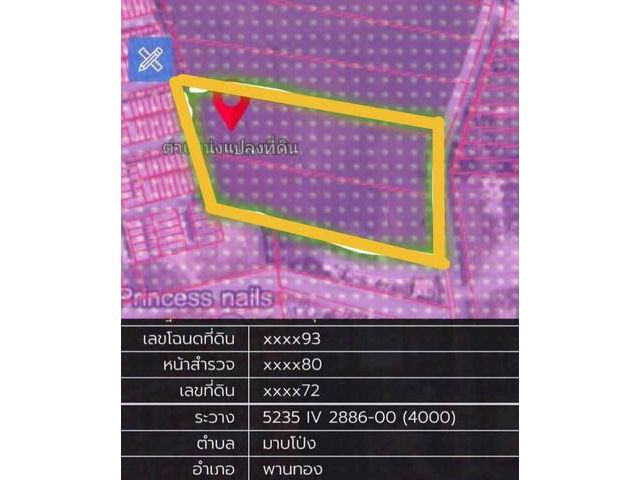 ขายที่ดินผังม่วงลายอมตะนครชลบุรี​ 14​ ไร่​ และ​ 6​  ไร่