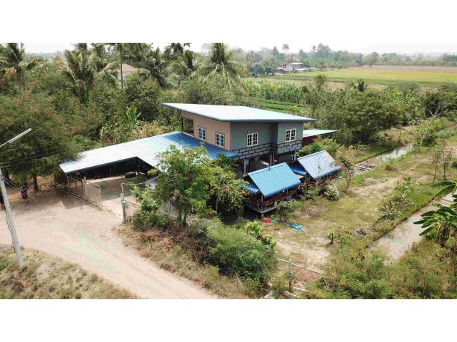 ขายสวนผลไม้ พร้อมบ้าน 2 ชั้น โฉนดครุฑแดง