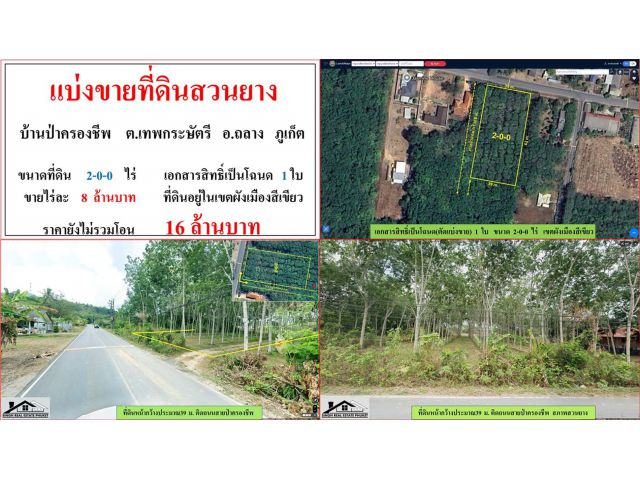 แบ่งขายที่ดินสวนยาง ขนาด 2-0-0 ไร่  บ้านป่าครองชีพ  ต.เทพกระษัตรี  อ.ถลาง  ภูเก็ต