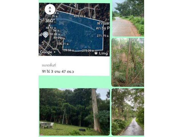 ขายที่ดินพร้อมรีสอร์ท 99 ไร่