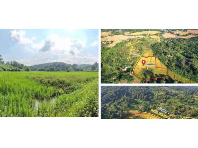 ขายที่สวนสันป่ายางแม่แตงข้างวัดหนองบัวน้อยโฉนด