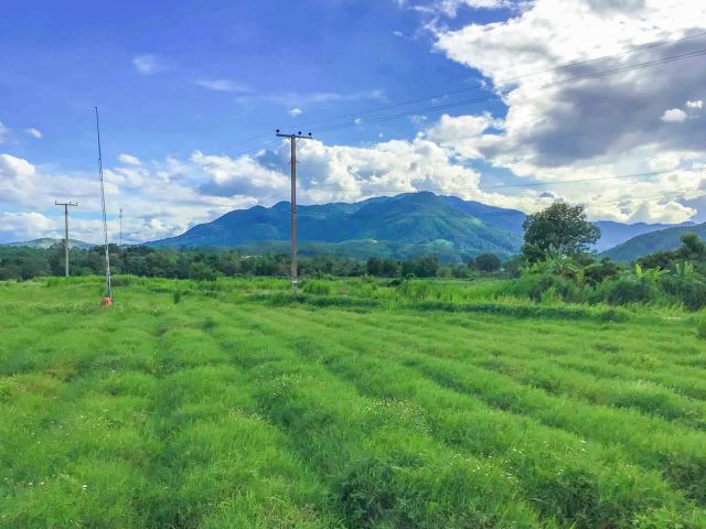 ขายที่ดินบ้านกาดแม่วางวิวดอยขายยกแปลงโฉนดพร้อมโอน