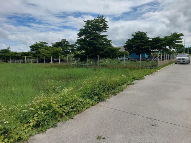 ขายที่ดินบ้านฮ่องกอกตำบลอุโมงค์ติดถนนคอนกรีตพร้อมโอน