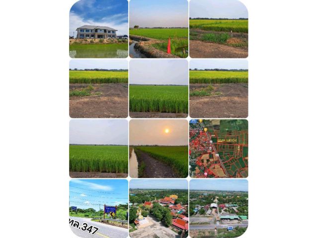 #ขายที่ดินฉโนด จ.อยุธยา แปลงสวย ราคาถูก 7-3-94.2 ไร่ ราคาไร่ละ 330,000 บ. เข้าตัวเมืองอยุธยาเพียง 15 นาที