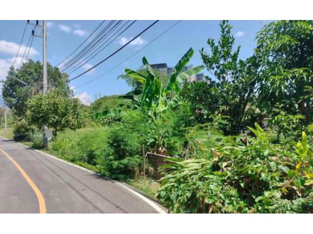 ขายที่ดินหน้าห้างโรบินสันแอร์พอร์เชียงใหม่โฉนดพร้อมโอน