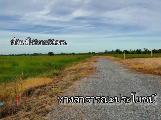 ที่ดิน1ไร่3งาน50ตรว. ต.โคกโคเฒ่า อ.เมือง จ.สุพรรณบุรี