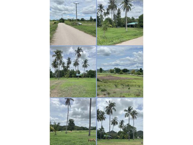 ที่ดินติดถนน วิวเขา
