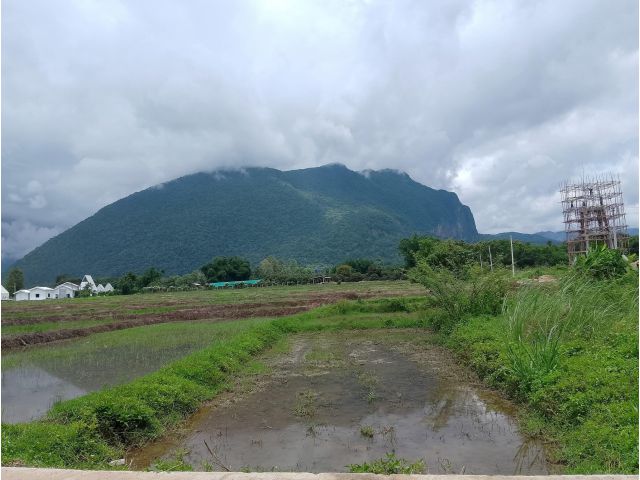 ขายที่นาวิวดอยหลวงเมืองงายเชียงดาวโฉนดพร้อมโอน
