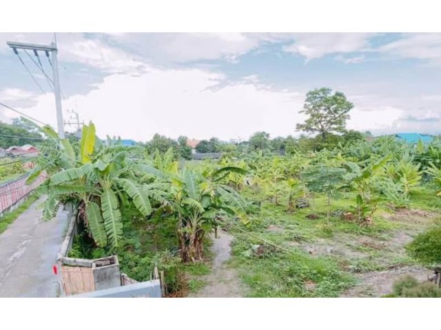 ขายที่ดินตำบลสุเทพแถวร่ำเปิงติดถนนล้อมรั้วเรียบร้อย